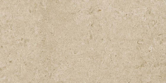 Eterna Greige Rectified Porcelain Floor and Wall Tile 300x600mm