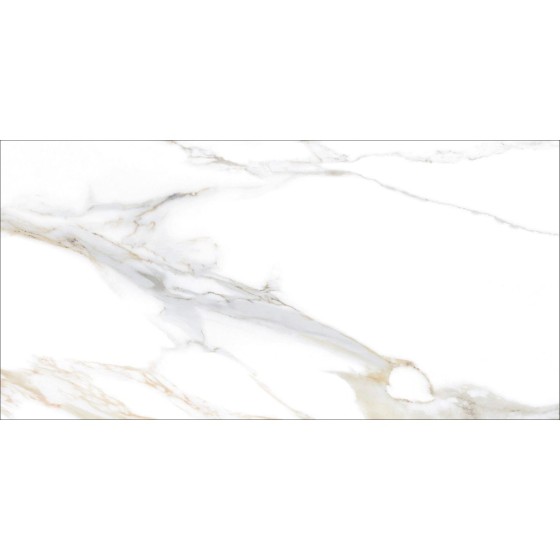 Calacatta Gold Natural Porcelain Floor and Wall Tile 300x600mm