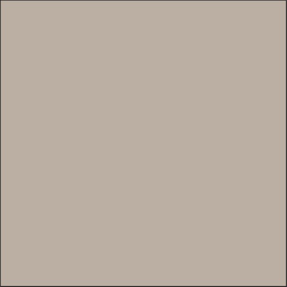 N&C Ikon Plain Colour Cosy Latte Gloss Ceramic Wall Tile 148x148mm