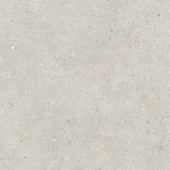 Fossil Light Porcelain Wall And Floor Tile 600x600mm