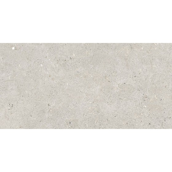 Fossil Light Porcelain Wall And Floor Tile 300x600mm