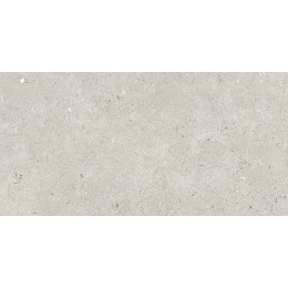 Fossil Light Porcelain Wall And Floor Tile 300x600mm